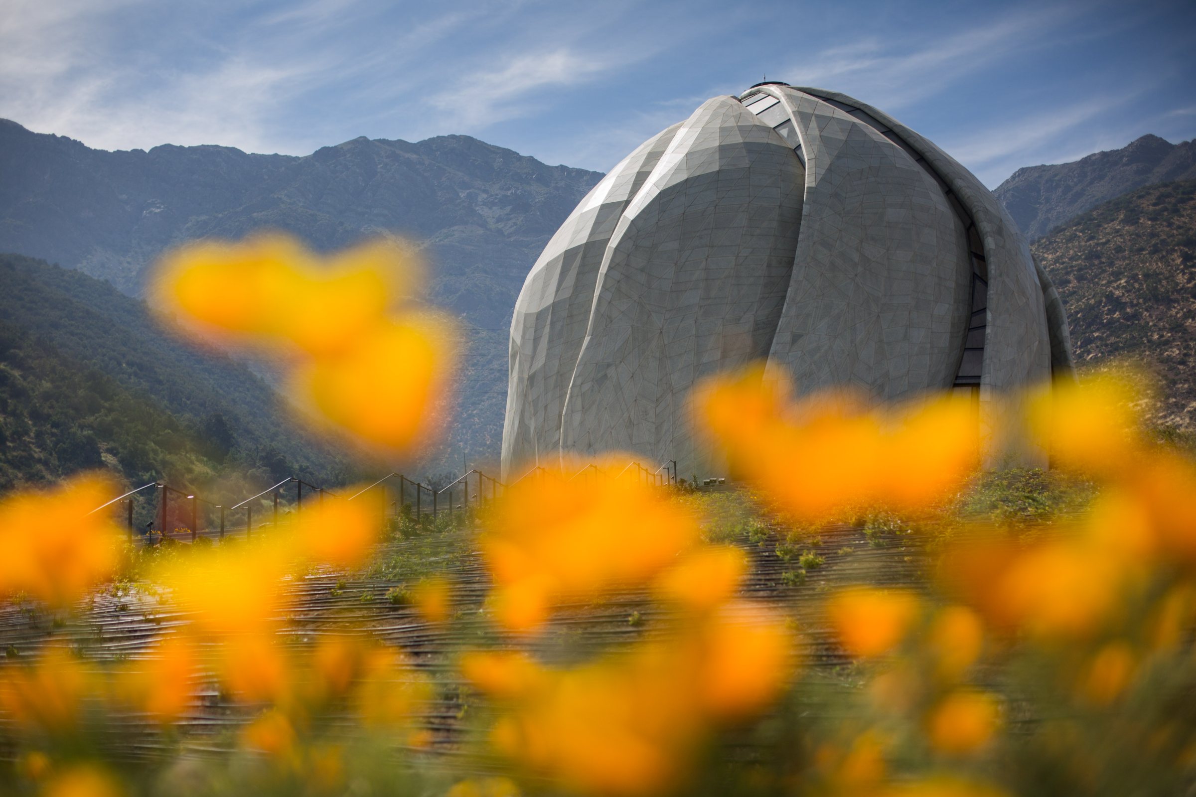 El Templo Bahá’í entre la cordillera y un campo de flores anaranjadas