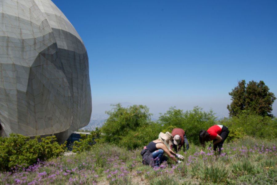 Voluntarios trabajan en los jardines del Templo con la cordillera de fondo