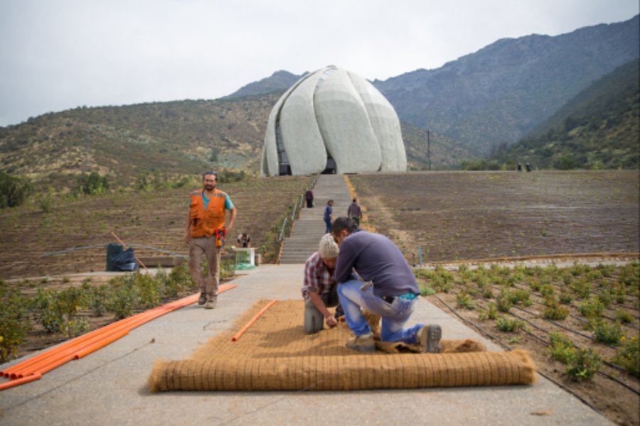 Voluntario realiza labores de mantenimiento en las instalaciones del Templo
