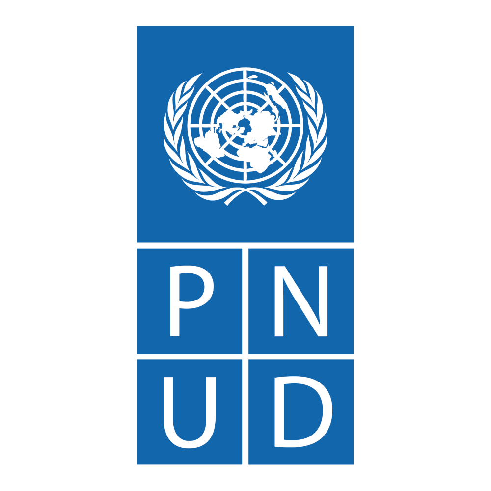 LOGO PNUD